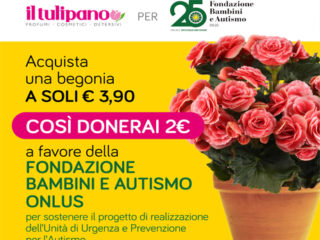 sito- anteprima Begonia